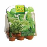 VRTNARSKI PRIPOMOČEK VERDE VIVO MINI RASTLINJAK ZELIŠČA