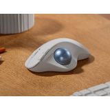 MIŠKA/KAZALNIK LOGITECH BREZŽ OPTIČNA TRACKBALL M575 S ERGO WHITE BLU