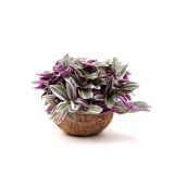 MIX ZELENIH RASTLIN KOKODAMA TRADESKANCIJA L15 CM