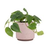 KERAMIČNI NOTRANJI LONEC NÉRIA 18 CM ROZ