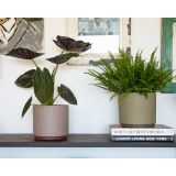 KERAMIČNI NOTRANJI LONEC NÉRIA 22 CM ROZA