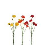 UMETNO CVETJE EVERGREENS NAGELJ MINI RUMEN ORANŽEN RDEČ (S3)