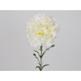 NAGELJ VEJICA 60CM, BEL