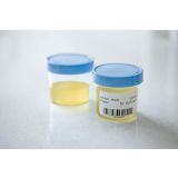 NALEPKE IN TRAKOVI DYMO LABELWRITER NALEPKE 32 X 57MM, 11354, 12/1