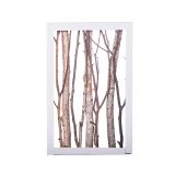 NAMIZNA DEKORACIJA GLOSSTYLE LESENA V OKVIRJU BREZA 37X57X55 CM