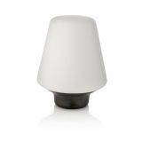 NAMIZNA SVETILKA PHILIPS WELLNESS 1X15W E27 40802/74/16 BUKEV, TEMNA