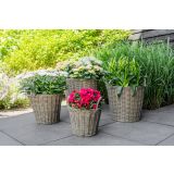 PE ZUNANJI LONEC KOŠEK NANNA NATUR 36 V40 CM