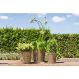 PE ZUNANJI LONEC KOŠEK NANNA NATUR 36 V40 CM