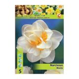 POMLADI CVETOČA ČEBULICA HOLLAND BULB MARKET NARCISA DVOJNA MANLY 12/14 5 KOS