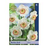 POMLADI CVETOČA ČEBULICA HOLLAND BULB MARKET NARCISA VELIKOCVETNA BARBIE DOLL 12/14 5 KOS