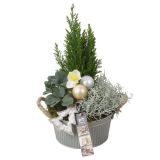 NASAD ZIMSKI ZUNANJI PTWO1942 L19 CM