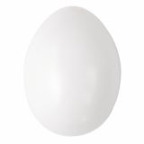 OBLIKE IZ UMETNE MASE RAYHER PLASTIČNA JAJCA 6CM BELA 10 KOSOV