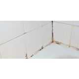 ODSTRANJEVALEC PLESNI HENKEL ACC CERESIT STOP PLESEN ALL IN ONE 500 ML