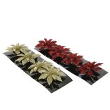 OKRASEK ZA JELKO DECORIS BOŽIČNA ZVEZDA NA SPONKI 8X8X0.5 CM, SORTIRANO