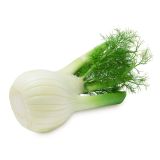 VRTNINA L'ORTO FRUTTIFERO OKROGEL KOROMAČ 8/1 RONDO F1 KULTIPAK