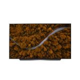 TELEVIZOR LG OLED55CX3LA