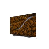 TELEVIZOR LG OLED55CX3LA