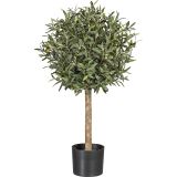 OLJKA OLJKA OLEA EUROPEA