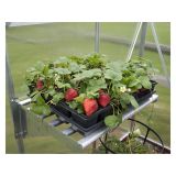 DODATNA KOVINSKA POLICA ZA RASTLINJAK PALRAM