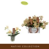 ORHIDEJA ARTISTO MODERN 4-STEBELNA L9