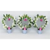 DENDROBIJ OBLIKOVAN KROG L12