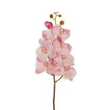 UMETNO CVETJE EVERGREENS ORHIDEJA SV.ROZA