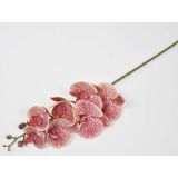 UMETNO CVETJE ORHIDEJA VEJICA 3D 7 ROZA