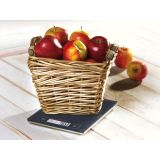 ELEKTRONSKA TEHTNICA SOEHNLE PAGE PROFI 15KG/1G