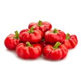PLODOVKE L'ORTO FRUTTIFERO PAPRIKA POLNJENJE 4/1 TOPEPO ROSSO KULTIPAK