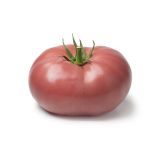 PLODOVKE L'ORTO FRUTTIFERO PARADIŽNIK 1/1 CANAVESE L10