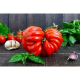 PLODOVKE L'ORTO FRUTTIFERO CEPLJEN PARADIŽNIK 1/1 CANESTRINO DI LUCCA L10