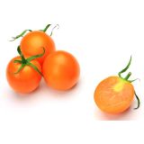 PLODOVKE L'ORTO FRUTTIFERO PARADIŽNIK 1/1 SUN SUGAR F1 L10