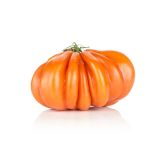 PLODOVKE L'ORTO FRUTTIFERO CEPLJEN PARADIŽNIK 1/1 PERBRUZZO L14