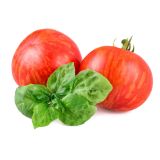 PLODOVKE L'ORTO FRUTTIFERO PARADIŽNIK 1/1 VIGNA ROSSA L10