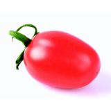 PLODOVKE L'ORTO FRUTTIFERO PARADIŽNIK 4/1 SUOCERA KULTIPAK