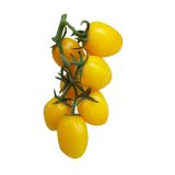 PLODOVKE L'ORTO FRUTTIFERO PARADIŽNIK ČEŠNJEV 1/1 RUMEN PIXEL L10