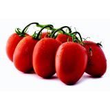 PLODOVKE L'ORTO FRUTTIFERO PARADIŽNIK INDUSTRIJ 4/1 DAROMA RES HEINZ KULTIPAK