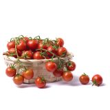 PLODOVKE L'ORTO FRUTTIFERO PARADIŽNIK NIZEK MINI 4/1 STROMBOLINO KULTIPAK