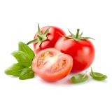 PLODOVKE L'ORTO FRUTTIFERO PARADIŽNIK NIZEK 4/1 EMPIRE F1 KULTIPAK