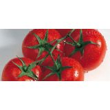 PLODOVKE L'ORTO FRUTTIFERO PARADIŽNIK 1/1 CARMELLO F1 L10