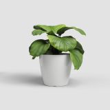 PE NOTRANJI LONEC ARTEVASI SAN REMO GLOSSY BEL 30 CM S KOLEŠČKI