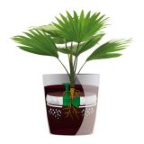 PE NOTRANJI LONEC SAN REMO GLOSSY BEL 30CM S SAMOZALIVALNIM SISTEMOM