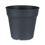PE SADILNI LONEC KOSMAČ-KRUŠEC EKO 11 CM ANTRACIT