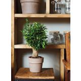 GLINENI ZUNANJI LONEC DEROMA CACHEPOT PERFETTO SIV 29 CM