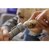 DREMEL AKUMULATORSKO ORODJE ZA NEGO NOHTOV HIŠNIH LJUBLJENČKOV (7020-PGK)