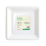 PIKNIK PROGRAM BIO KROŽNIK KVADRAT 20X20 CM 25/1