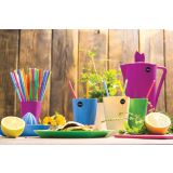 PIKNIK PROGRAM SKAZA KOZAREC SET 4/1 ZELEN 8 CM VIVA 2.0