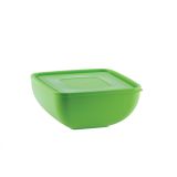 PIKNIK PROGRAM UCSAN PLASTIK SKLEDA S POKROVOM 2.5 L KVADRATNA ZELENE BARVE