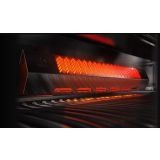 PLINSKI ŽAR NAPOLEON P500RSIBPSS-3-SI