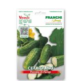 PLODOVKA FRANCHI SEMENTI KUMARA PICOLO VERDE VXO 38/2